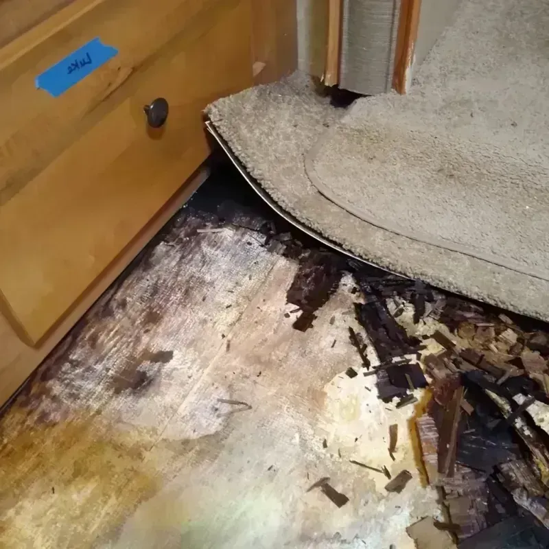 Wood Floor Water Damage in Columbia, LA